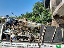 Trusted Eastman, GA Junk Removal Services Experts